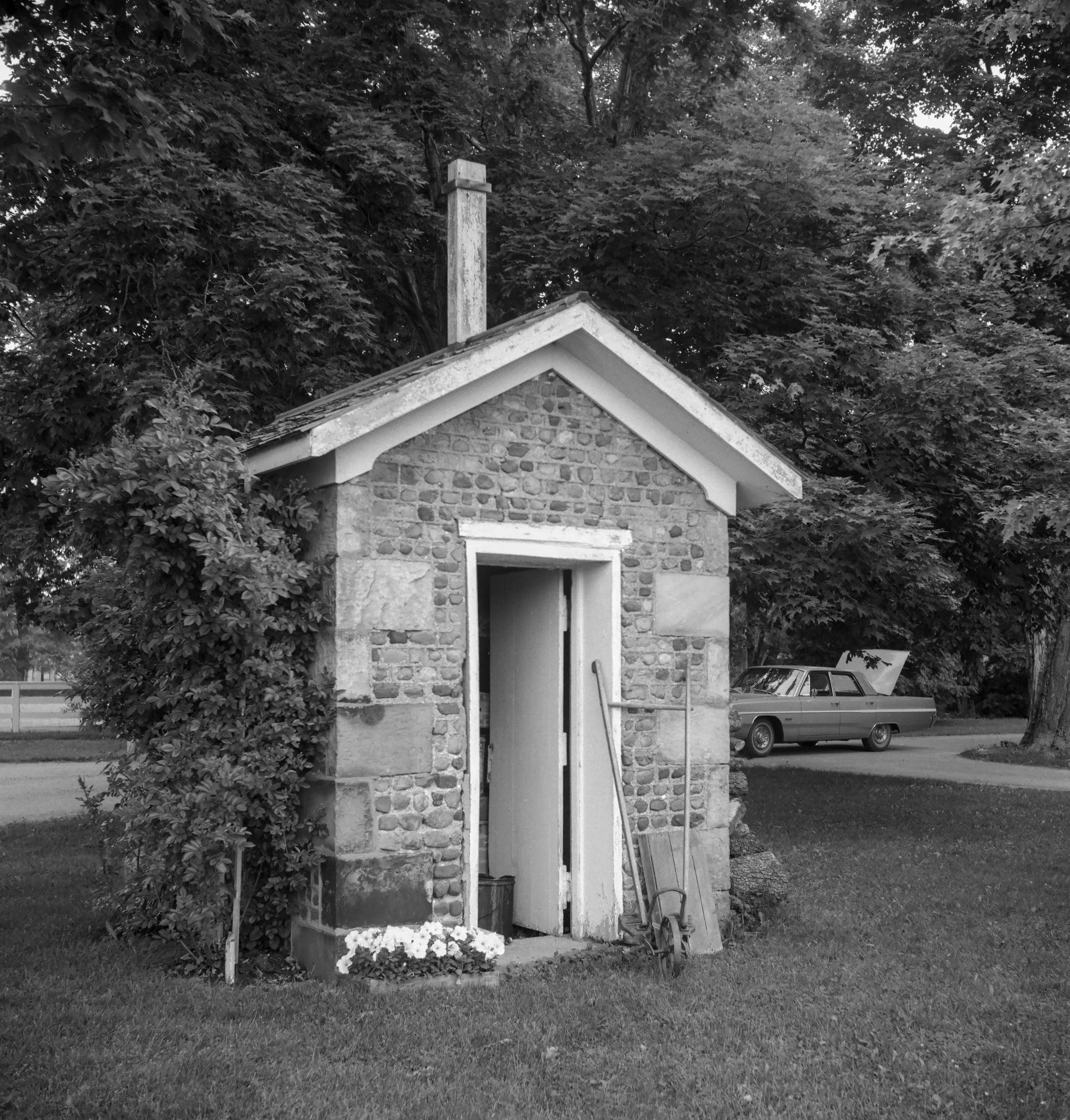 GP Orleans Shelby She-8 2-1 N